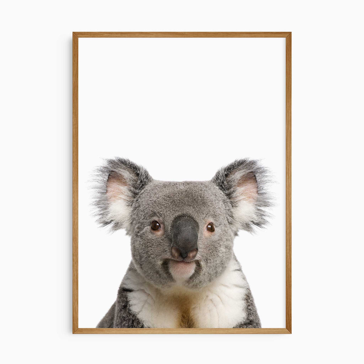 Koala Nursery Wall Art | Australian Animal Kids Print – My Tommy Prints