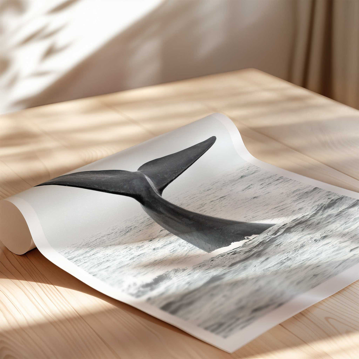 minimalist whale wall art print for teen room with white border