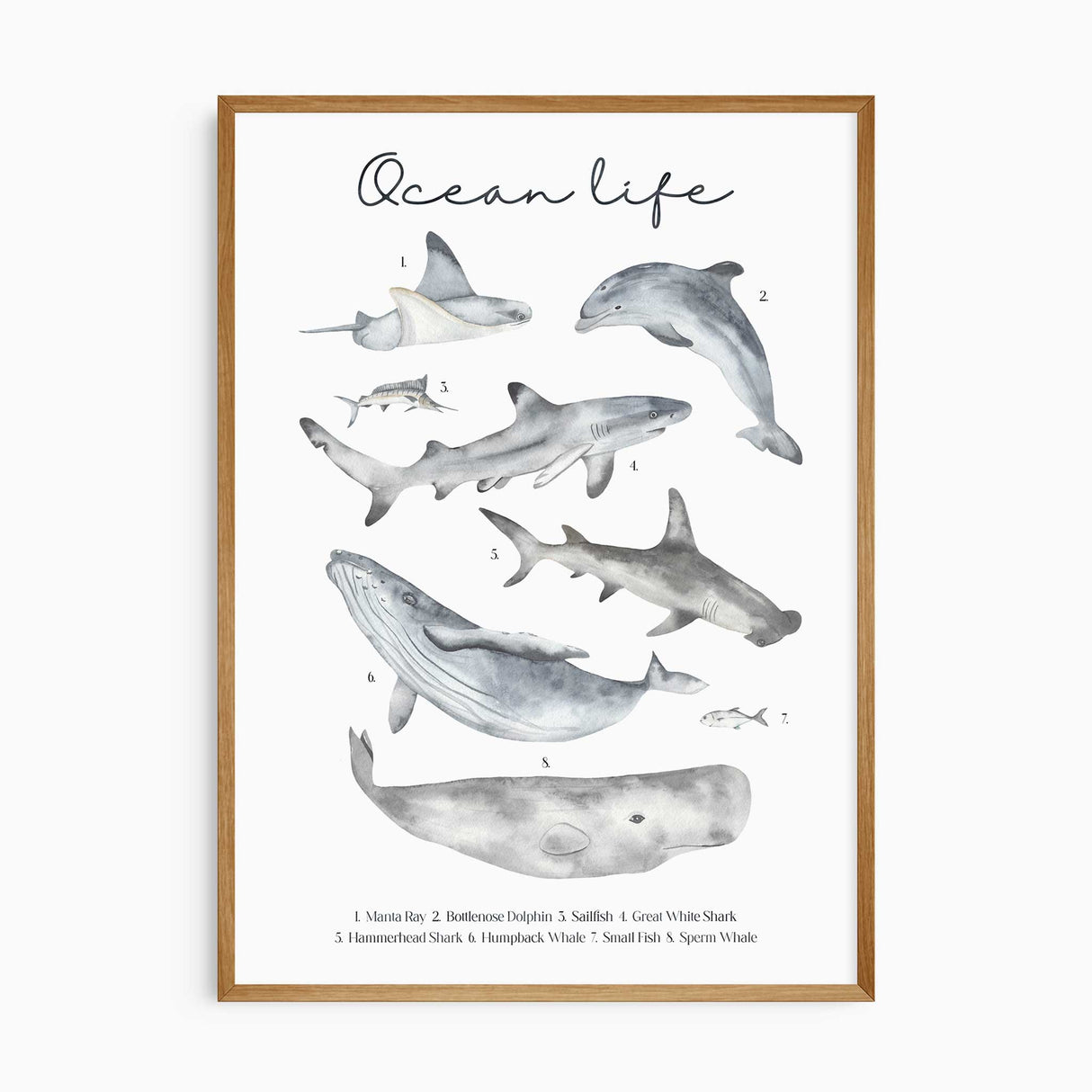 Educational ocean life print for kids' rooms