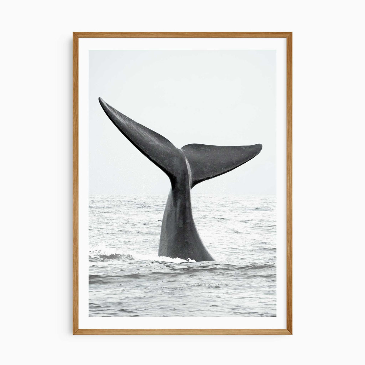 whale tail emerging from the ocean wall art print in neutral tones with white border