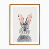Bunny Rabbit Poster