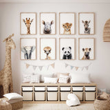 Eight baby animal portraits featuring giraffe, rhino, lion, zebra, elephant, ostrich, panda and hyena on white.