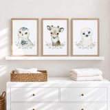 Arctic animal prints for a child's bedroom featuring a snowy owl, seal and reindeer on white backgrounds.