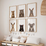 Australian animal nursery wall art set with realistic baby wildlife portraits