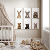Set of 6 Australian baby animal nursery prints with kangaroo, koala, wombat, quokka, Tasmanian devil and bilby