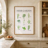 Framed botanical herb print displayed in a light elegant kitchen with warm ivory cabinetry and natural stone