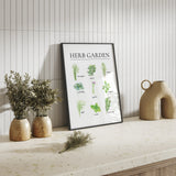 Botanical kitchen wall art showing a collection of labelled culinary herb illustrations in soft natural greens
