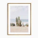 Coastal cactus wall art showing desert plants beside the ocean