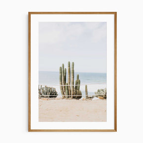 Coastal cactus wall art showing desert plants beside the ocean