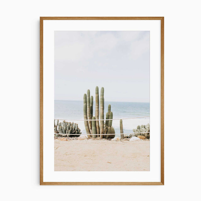 Coastal cactus wall art showing desert plants beside the ocean