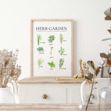 Culinary herb art print with labelled watercolour illustrations of basil rosemary mint oregano parsley and more