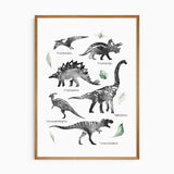 A unframed poster featuring a collection of dinosaurs in various illustrations, each accompanied by a small botanical element. The dinosaurs include names such as 'Phytosaurus', 'Saurischia', 'Thyrannosaurus', 'Ceratosaurus', and 'Tranquilla'.