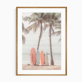 Surfboards leaning against palm trees on tropical beach