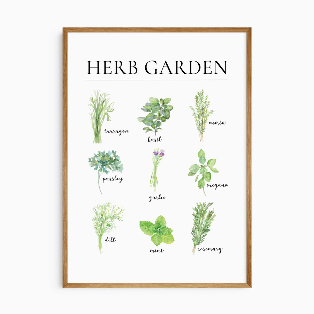 Kitchen herb wall art print with nine labelled watercolour illustrations including basil rosemary mint and oregano