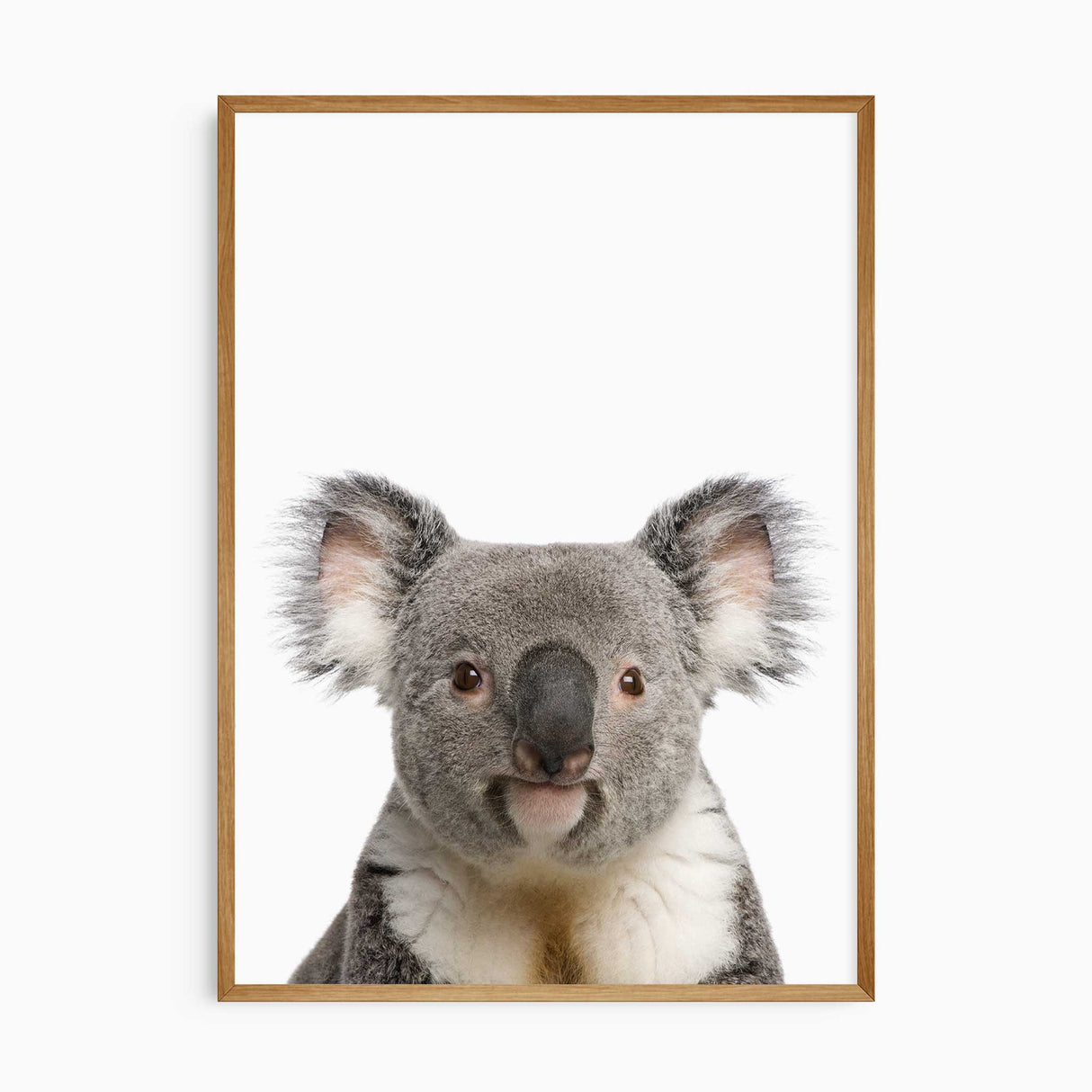 Koala Poster