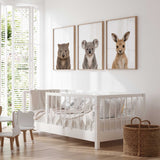 Koala kangaroo and wombat nursery decor i