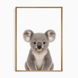 Koala, kangaroo and wombat nursery prints from an Australian animal wall art set