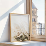 photograph of pampas grass, ideal for minimalist decor.