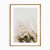 photograph of light beige pampas grass in a minimalist wooden frame.