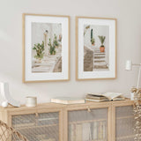 Mediterranean potted plants wall art print depicting white stone steps, cactus and greenery in a sunlit European street setting