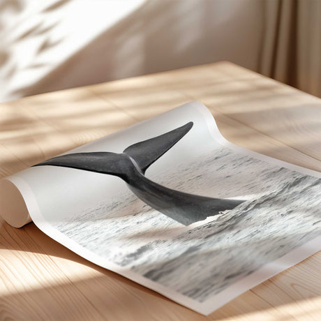 minimalist whale wall art print for teen room with white border