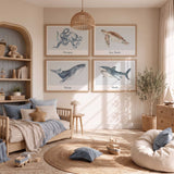 Four labelled watercolour ocean animal prints showing an octopus, sea turtle, whale and shark in soft blue-grey and brown tones