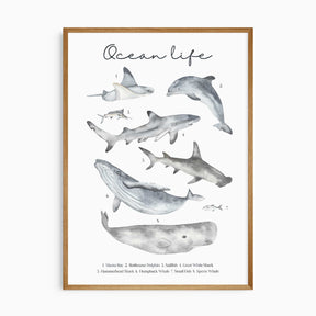 Educational ocean life print for kids' rooms