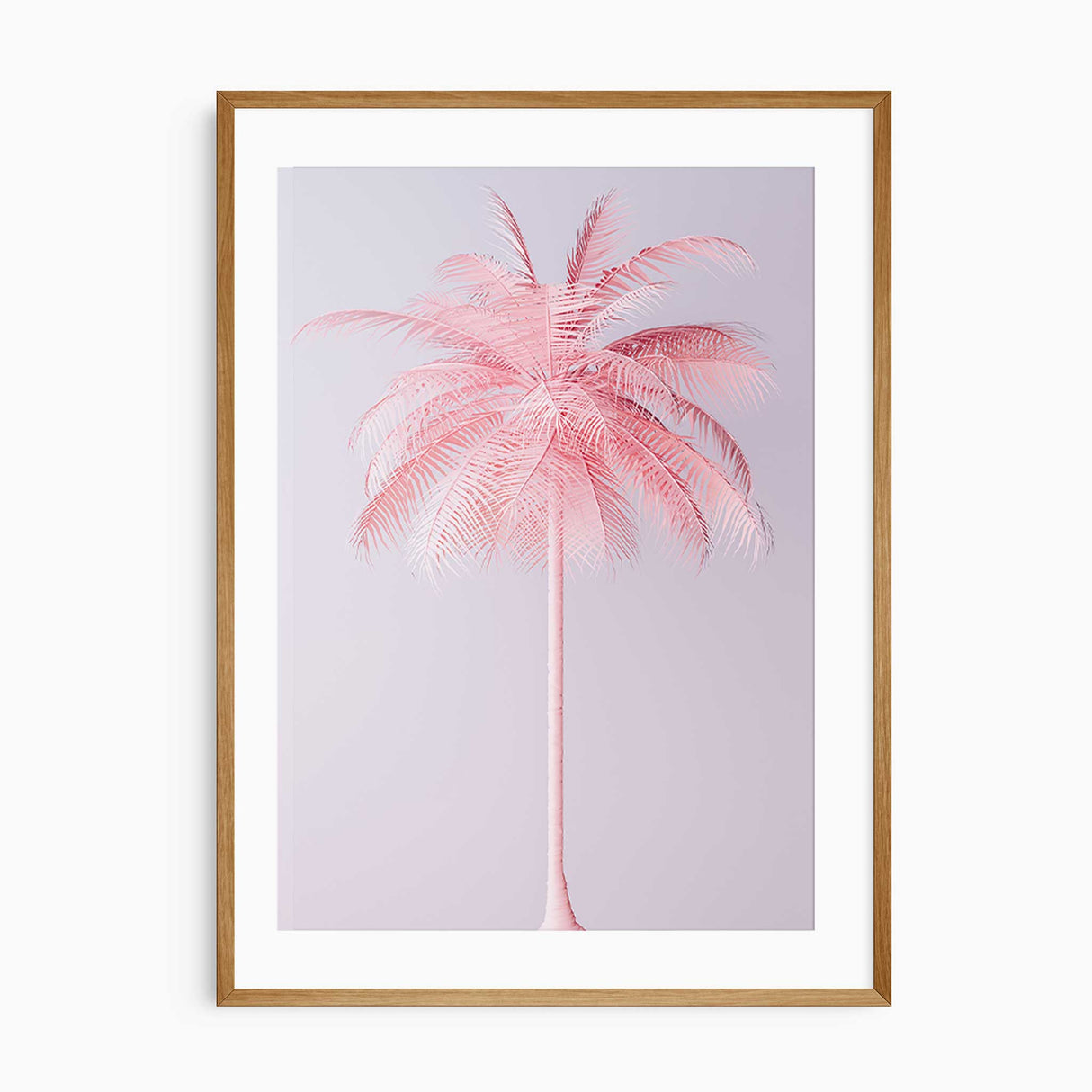 Bright Pink Palm