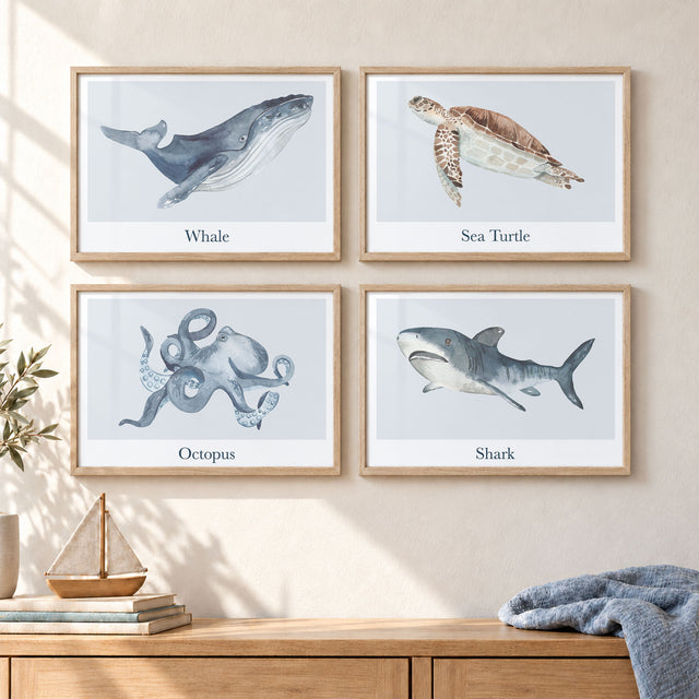 Set of four labelled watercolour sea animal prints featuring a whale, sea turtle, octopus and shark in muted tones.