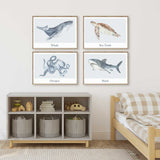 Four landscape sea animal prints featuring a whale, sea turtle, octopus and shark, with watercolour artwork and animal names.