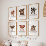 Woodland Forest Animals Set