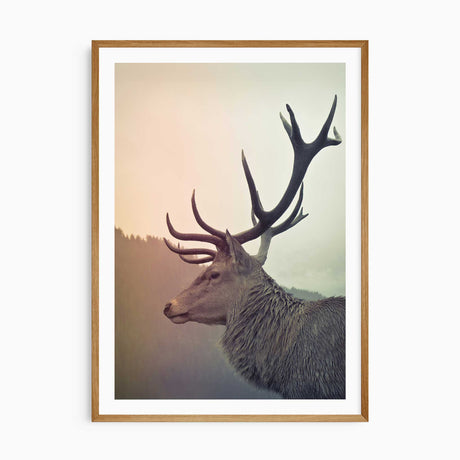 Stag wall art print showing a close deer portrait with prominent antlers, a soft misty background and a white border