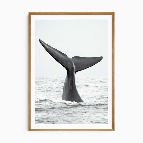 ocean wall art print for teen boy room with whale tail and white border