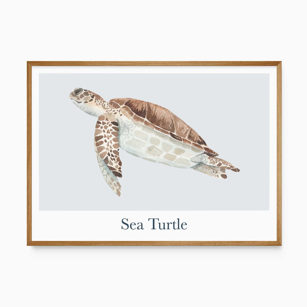 Watercolour sea turtle print in brown and soft sage tones on a pale blue-grey panel, with a white border and animal name.