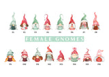 female gnome character selection chart with Scandinavian gnome designs.